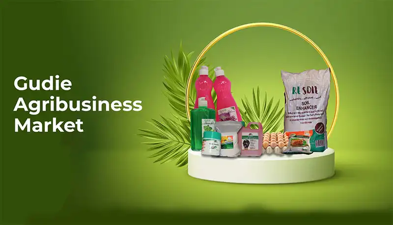 Shop Organic Products