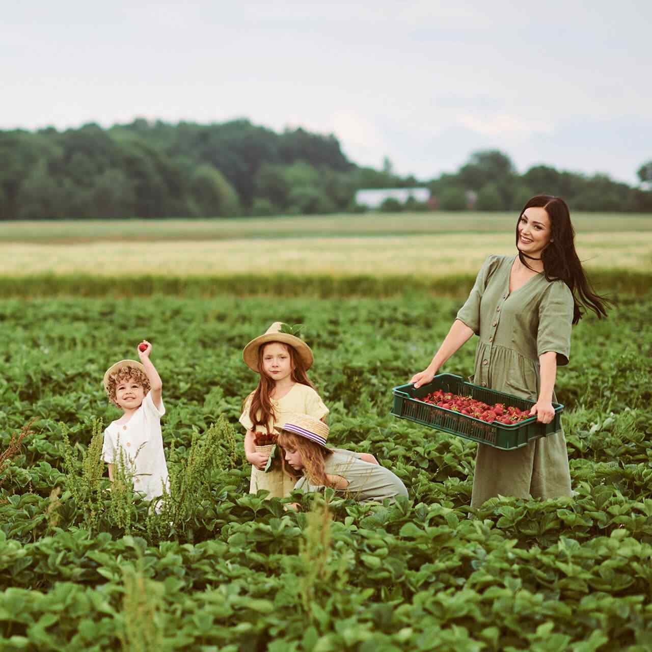 Food production that’s sustainable for families