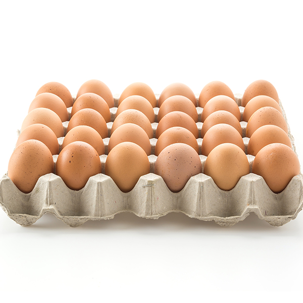 category-poultry-eggs